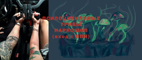 СК Вязьма