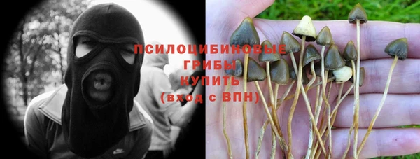 прущая мука Вяземский