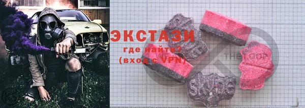 СК Вязьма