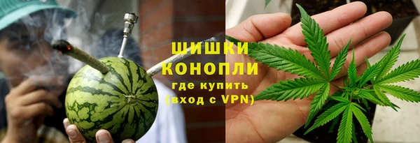 СК Вязьма